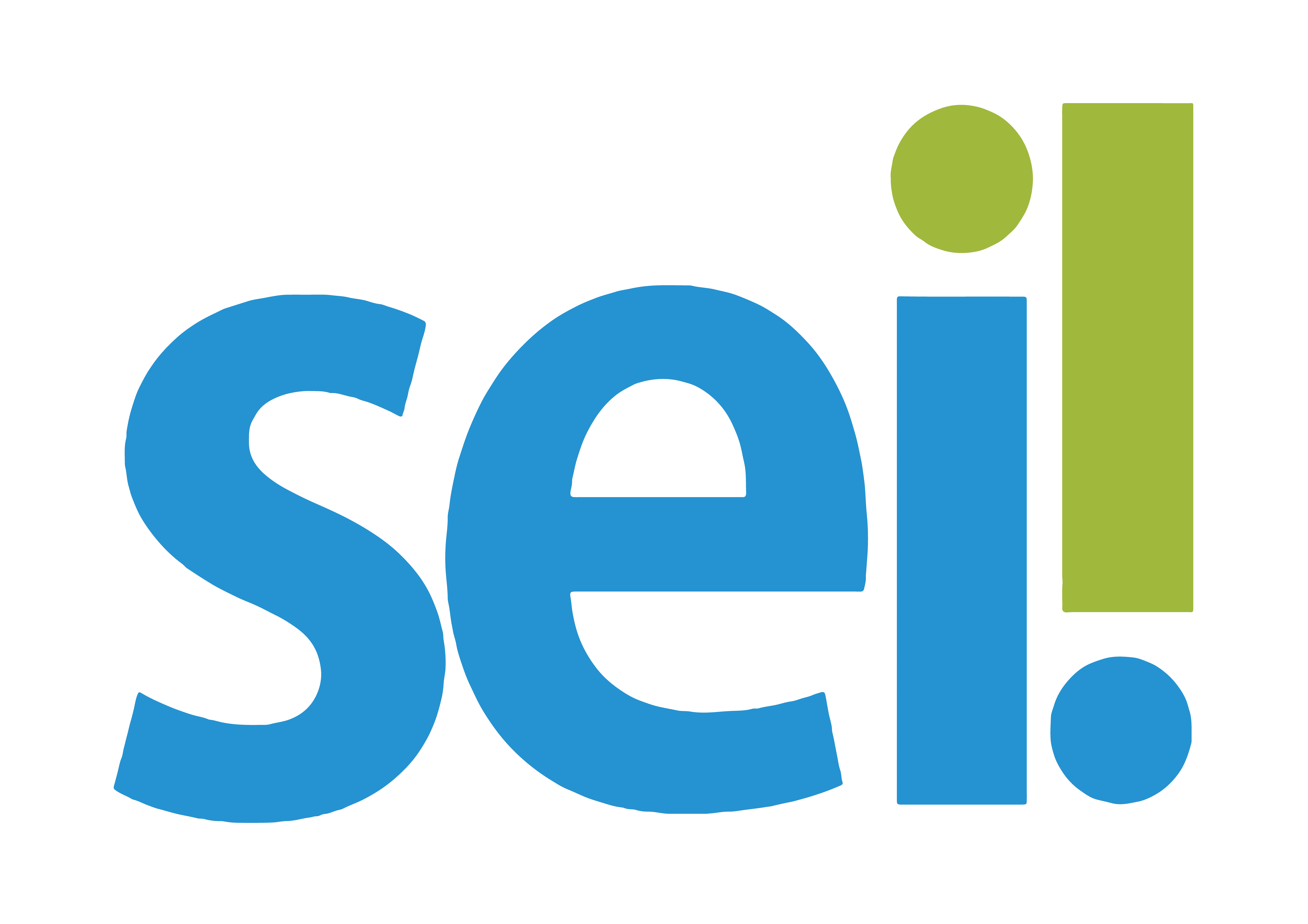SEI Logo