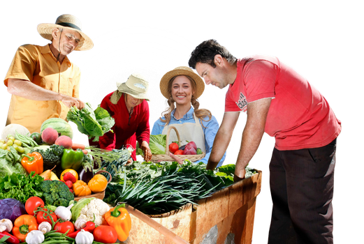 Agricultura Familiar