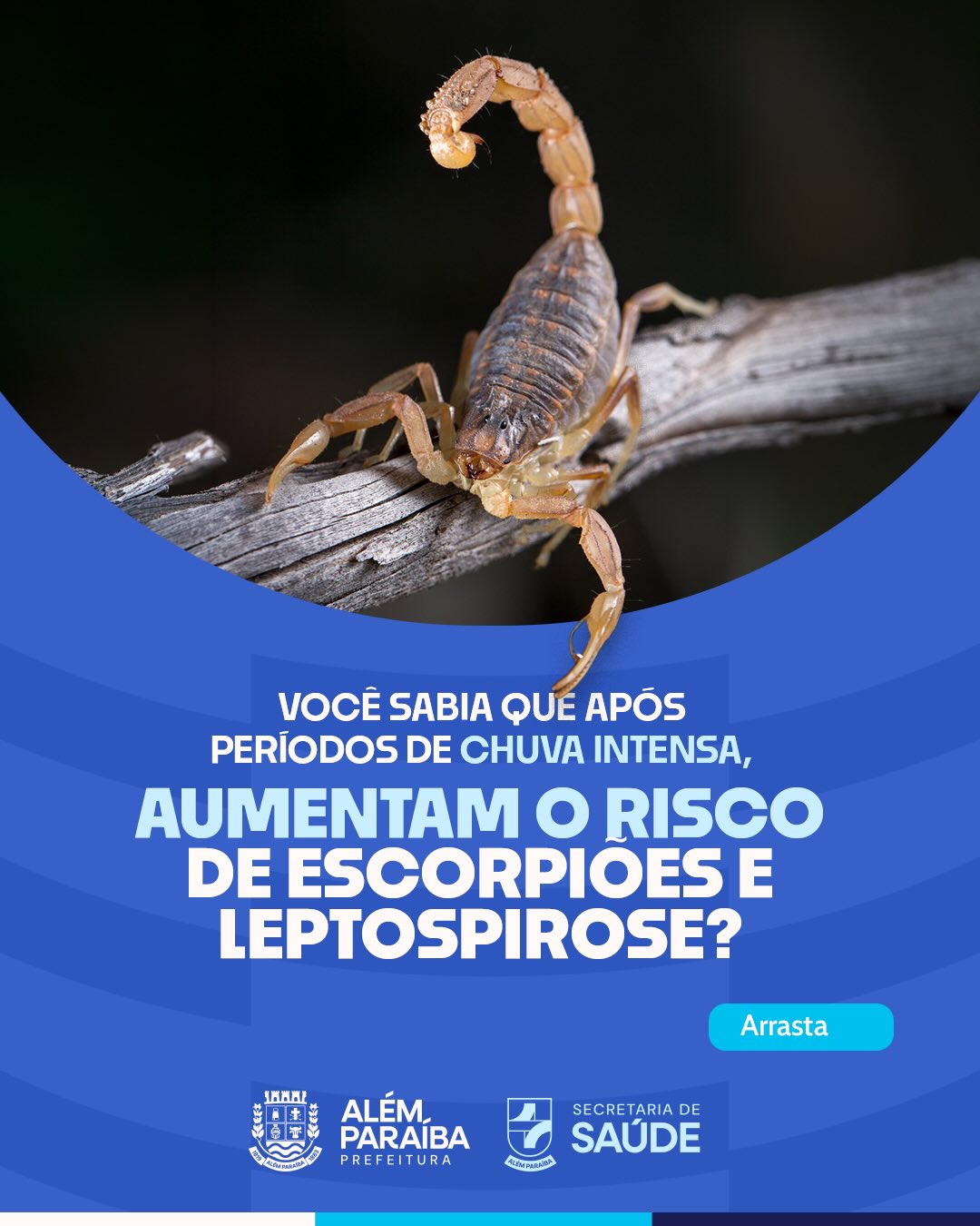 A Prefeitura de Além Paraíba, por meio da Secretaria Municipal de Saúde, alerta a população para os cuidados necessários após períodos de chuvas intensas.

Nessas situações, aumenta o risco de doenças como a leptospirose, transmitida pelo contato com água ou lama contaminadas, além da maior presença de animais peçonhentos, como escorpiões, que podem sair de seus esconderijos e aparecer em casas, quintais e locais com entulho.

Para se proteger:
• Evite contato com água de enchentes ou lama contaminada.
• Utilize botas e luvas ao limpar áreas que foram alagadas.
• Lave bem as mãos após qualquer contato com água ou lama.
• Mantenha quintais limpos e sem acúmulo de entulho.
• Vede frestas em paredes e ralos e sacuda roupas e calçados antes de usar.

Em caso de acidente com animais peçonhentos ou se apresentar sintomas após contato com água de enchente, procure imediatamente uma unidade de saúde.

A prevenção é fundamental para proteger você e sua família. 
Em caso de dúvidas, procure a unidade de saúde mais próxima.