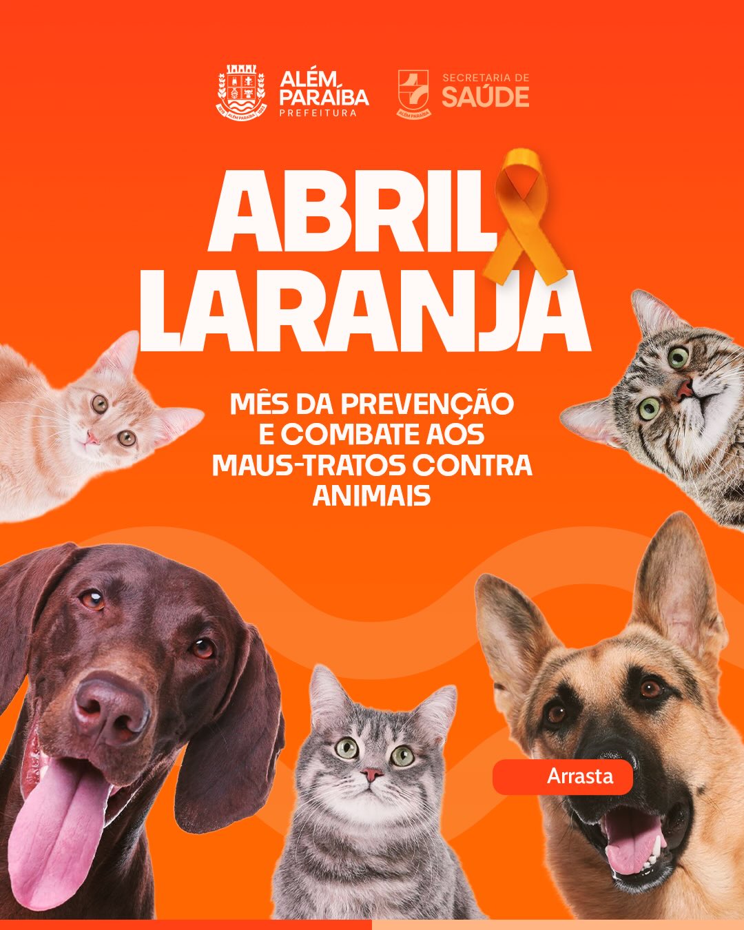 A Prefeitura de Além Paraíba, por meio da Secretaria Municipal de Saúde, reforça a importância da conscientização e do combate aos maus-tratos contra animais durante o Abril Laranja, mês dedicado à prevenção dessa prática.

Cuidar dos animais é um dever coletivo. A identificação de sinais de negligência, abandono ou violência é fundamental para que medidas sejam tomadas e situações de risco sejam interrompidas.

A proteção animal é uma responsabilidade compartilhada. Ao identificar qualquer indício de maus-tratos, a população deve procurar os canais adequados para denúncia, contribuindo para a preservação da vida e o bem-estar dos animais.
