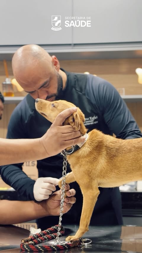 A Prefeitura Municipal de Além Paraíba, em parceria público-privada, iniciou o Projeto de Castração de Animais de Rua, com o objetivo de promover o controle populacional e contribuir para a prevenção de zoonoses no município, unindo esforços entre o poder público e a iniciativa privada em prol de uma cidade mais segura e responsável no cuidado com os animais.